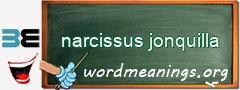 WordMeaning blackboard for narcissus jonquilla